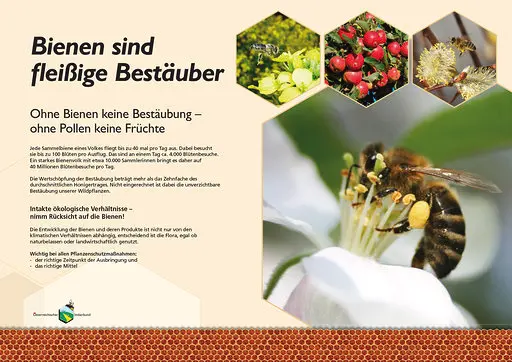 Bienenlehrpfad SET A2 - 8 Stück